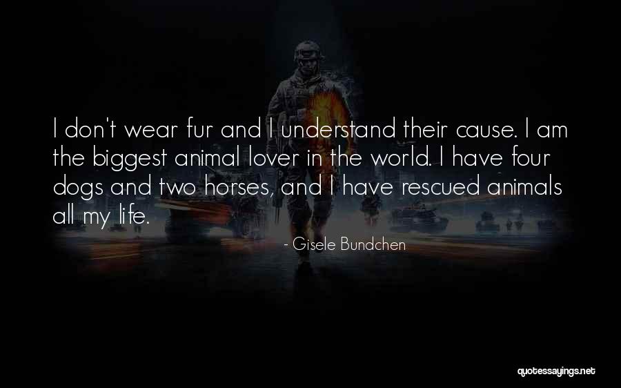 Animal Fur Quotes By Gisele Bundchen Animal Fur Quotes By Gisele Bundchen