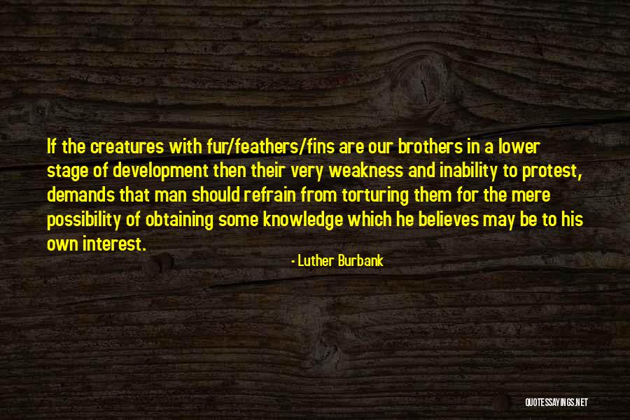 Animal Fur Quotes By Luther Burbank Animal Fur Quotes By Luther Burbank