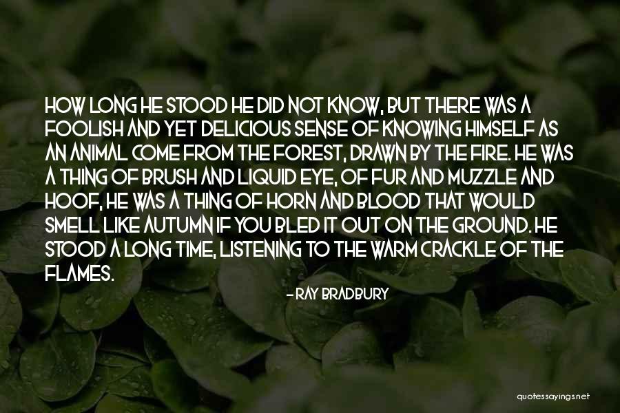 Animal Fur Quotes By Ray Bradbury Animal Fur Quotes By Ray Bradbury