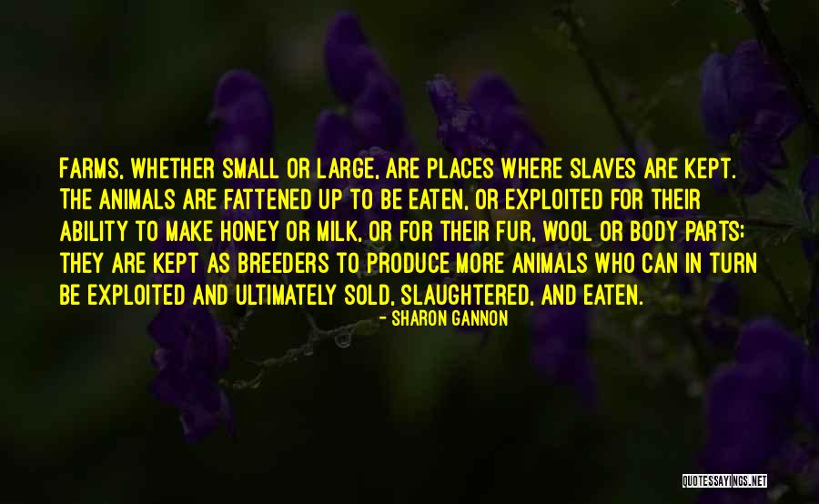 Animal Fur Quotes By Sharon Gannon Animal Fur Quotes By Sharon Gannon