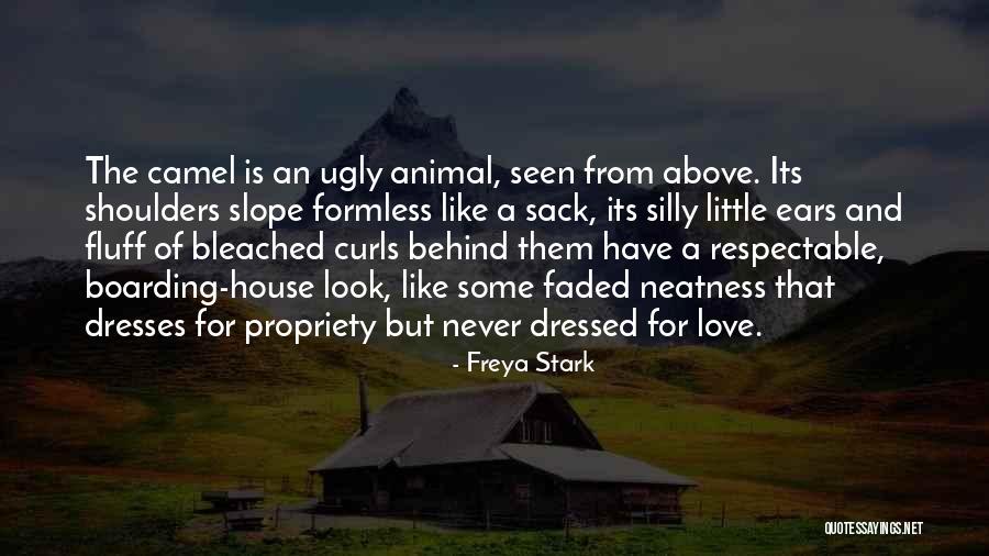Animal House Best Quotes By Freya Stark Animal House Best Quotes By Freya Stark
