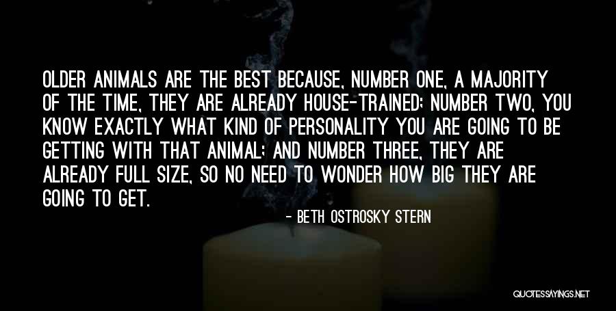 Animal House Quotes By Beth Ostrosky Stern Animal House Quotes By Beth Ostrosky Stern