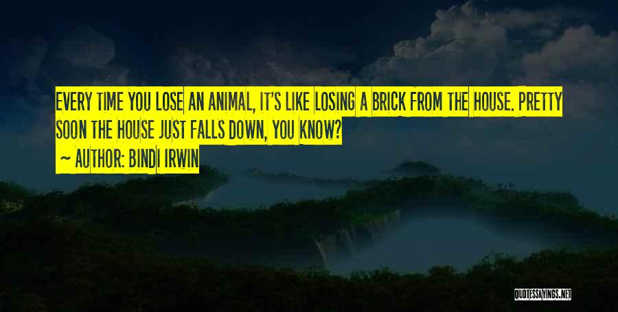 Animal House Quotes By Bindi Irwin