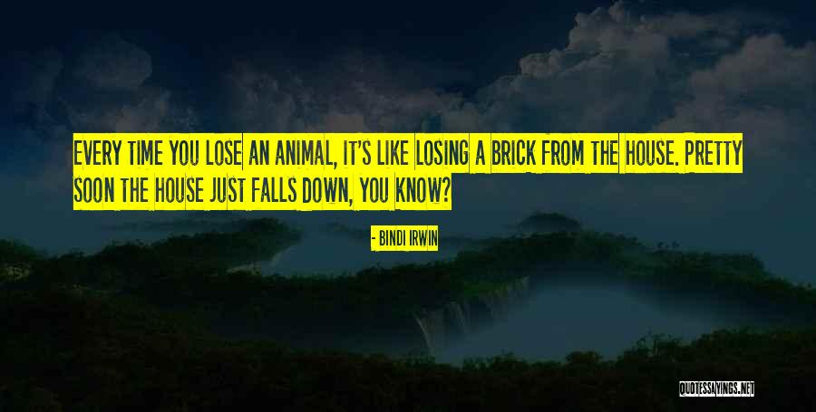 Animal House Quotes By Bindi Irwin Animal House Quotes By Bindi Irwin
