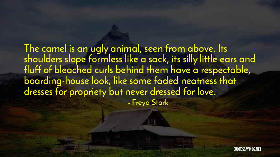 Animal House Quotes By Freya Stark