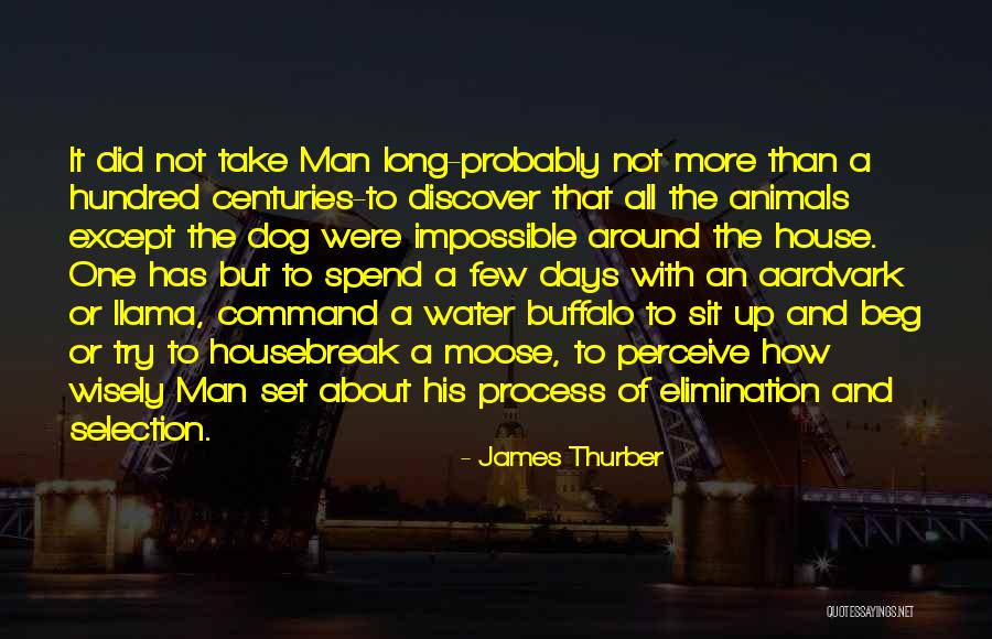 Animal House Quotes By James Thurber Animal House Quotes By James Thurber