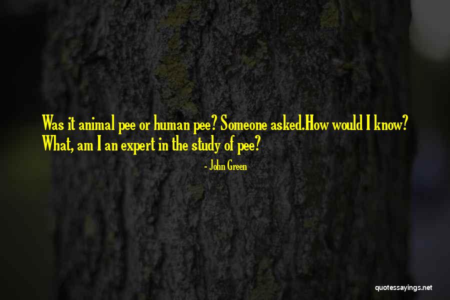Animal Humor Quotes By John Green Animal Humor Quotes By John Green