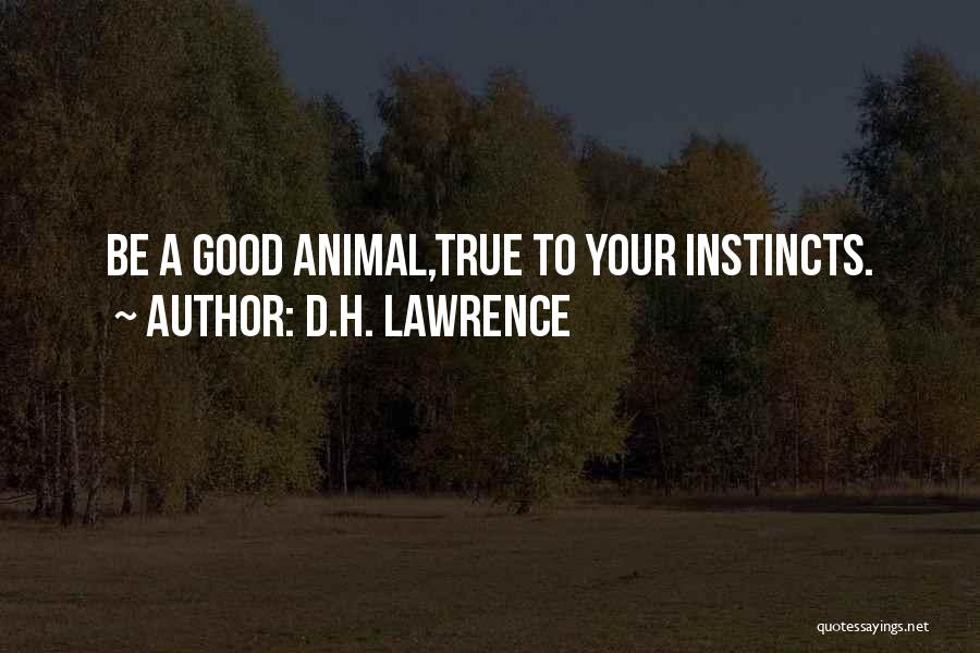 Animal Instincts Quotes By D.H. Lawrence