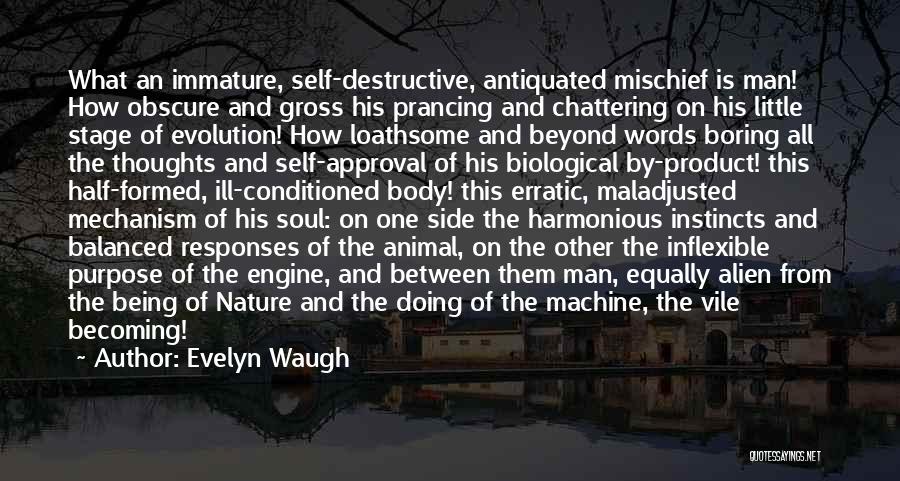 Animal Instincts Quotes By Evelyn Waugh