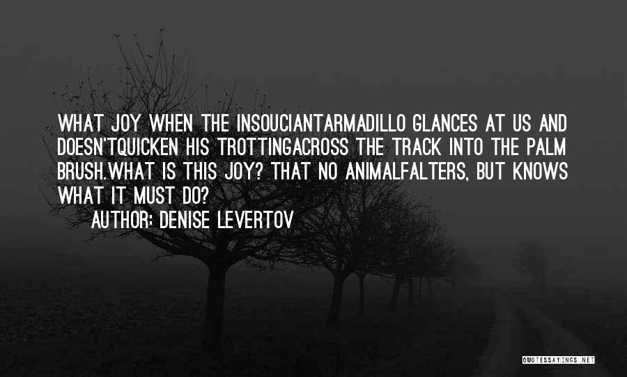 Animal Joy Quotes By Denise Levertov