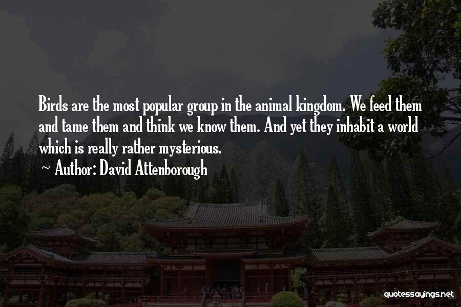 Animal Kingdom Quotes By David Attenborough