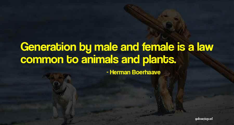 Animal Law Quotes By Herman Boerhaave Animal Law Quotes By Herman Boerhaave