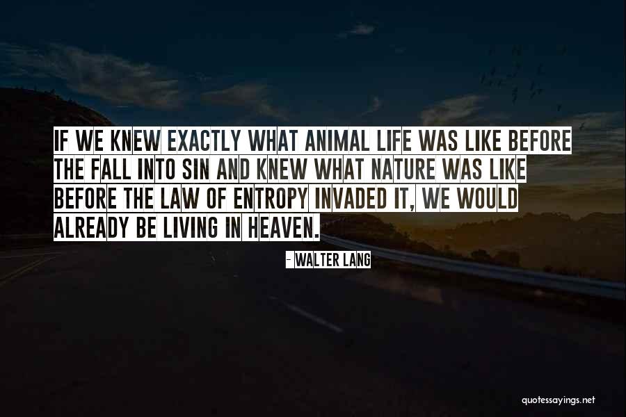 Animal Law Quotes By Walter Lang Animal Law Quotes By Walter Lang