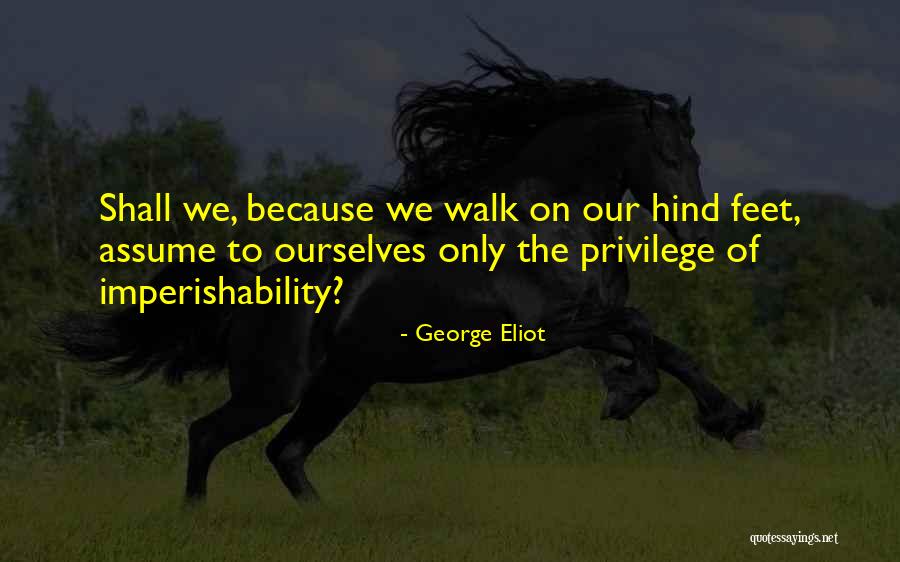 Animal Loss Quotes By George Eliot