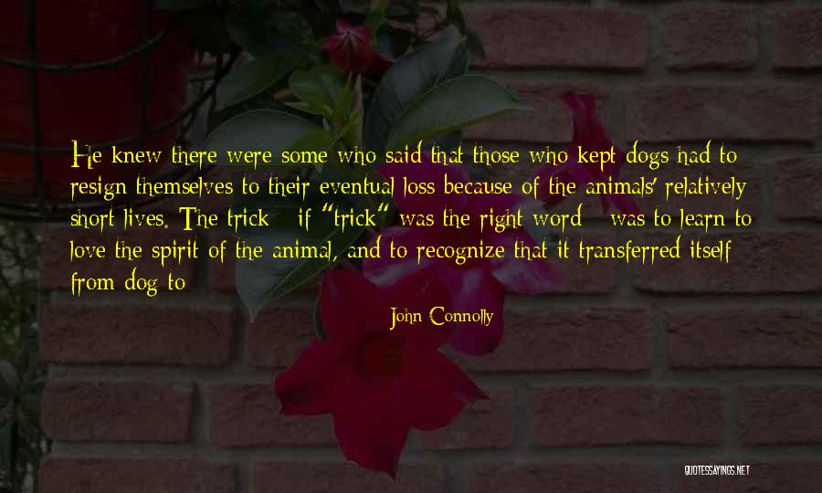 Animal Loss Quotes By John Connolly