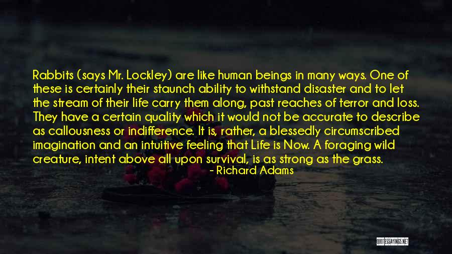 Animal Loss Quotes By Richard Adams