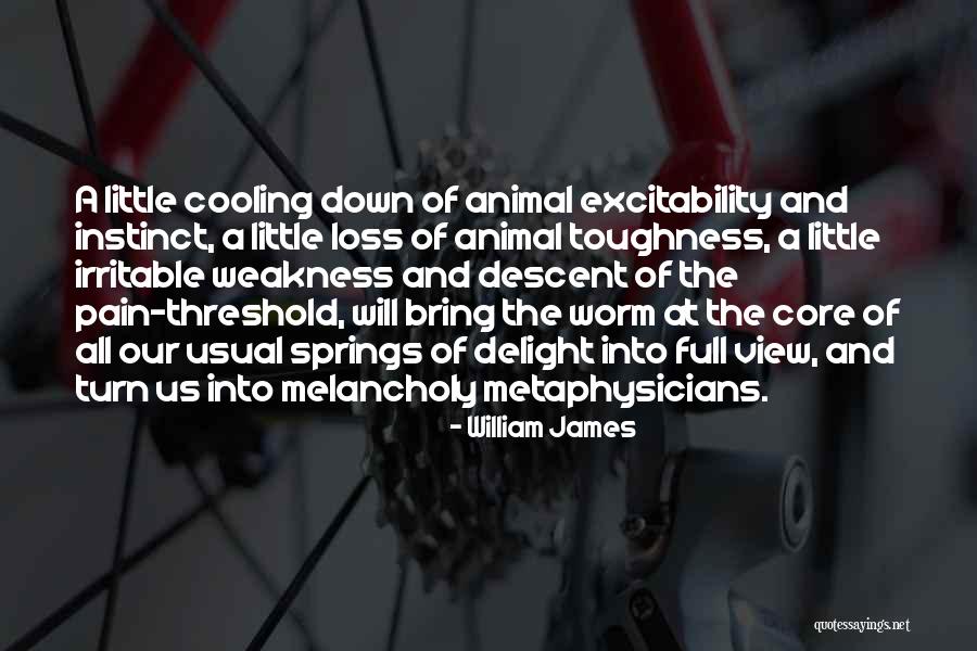 Animal Loss Quotes By William James