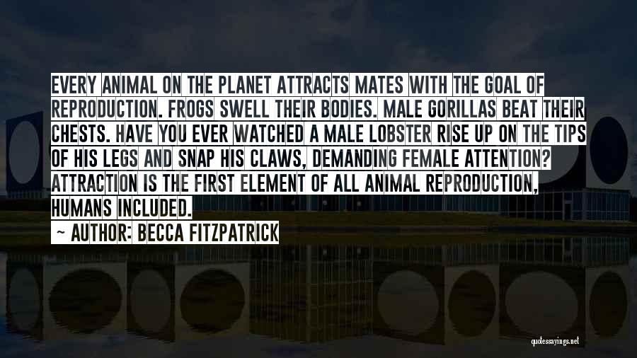 Animal Planet Quotes By Becca Fitzpatrick