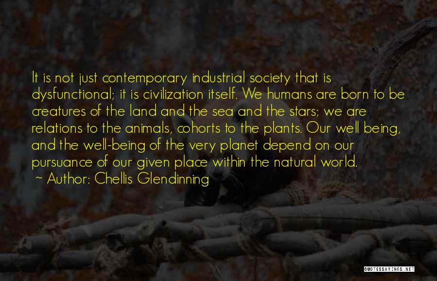 Animal Planet Quotes By Chellis Glendinning