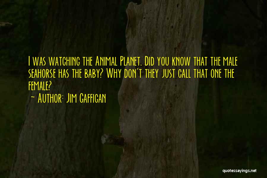 Animal Planet Quotes By Jim Gaffigan