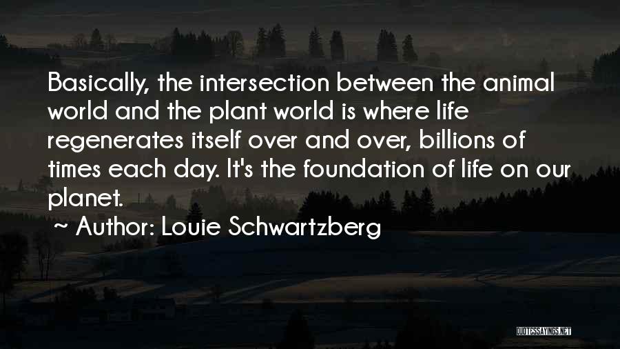 Animal Planet Quotes By Louie Schwartzberg