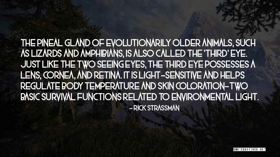 Animal Related Quotes By Rick Strassman Animal Related Quotes By Rick Strassman