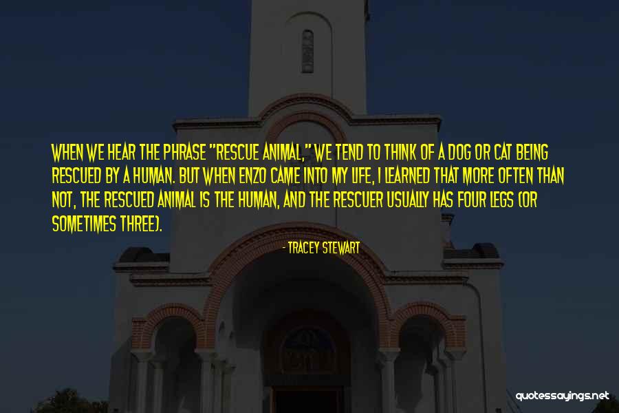Animal Rescuer Quotes By Tracey Stewart Animal Rescuer Quotes By Tracey Stewart