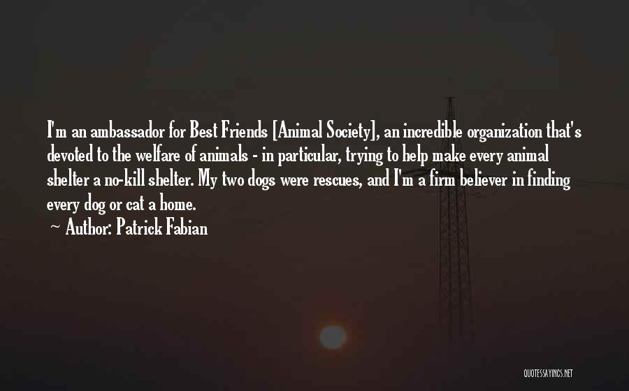 Animal Rescues Quotes By Patrick Fabian