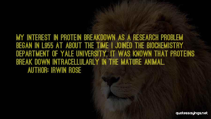 Animal Research Quotes By Irwin Rose