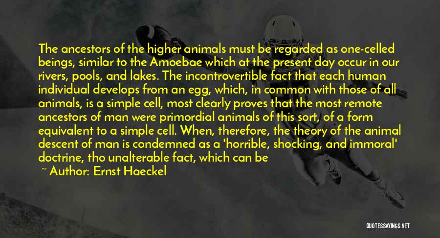 Animal Science Quotes By Ernst Haeckel