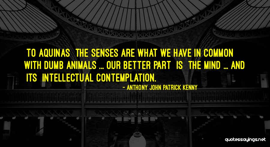 Animal Senses Quotes By Anthony John Patrick Kenny