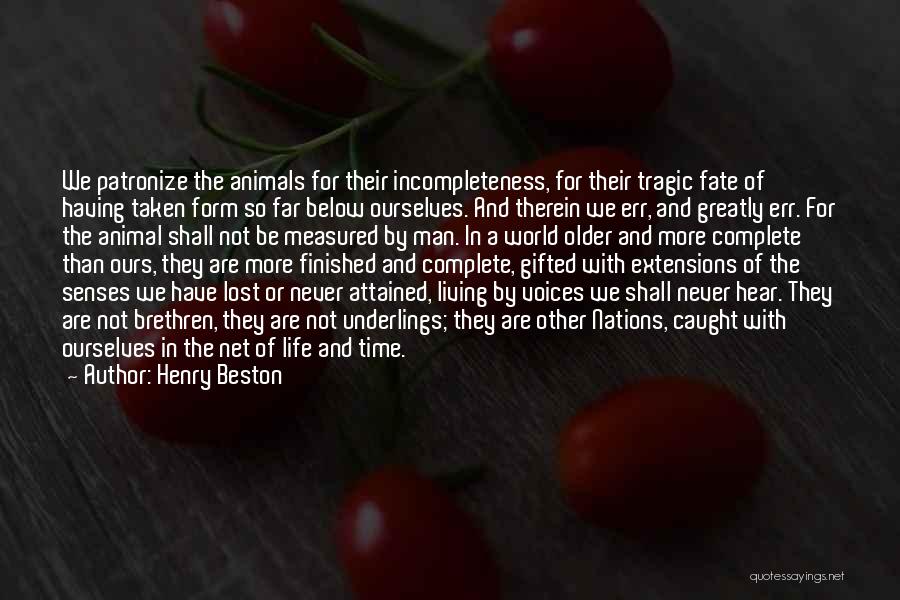 Animal Senses Quotes By Henry Beston