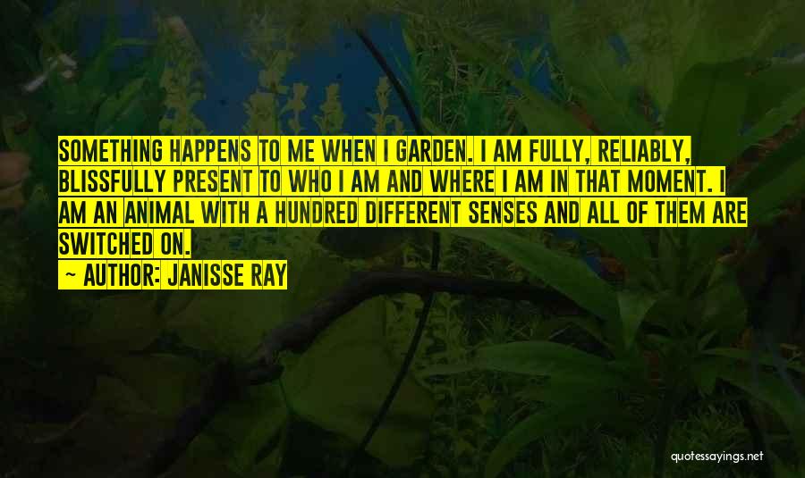 Animal Senses Quotes By Janisse Ray