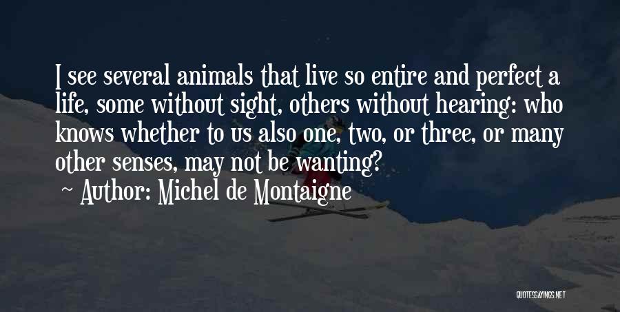 Animal Senses Quotes By Michel De Montaigne