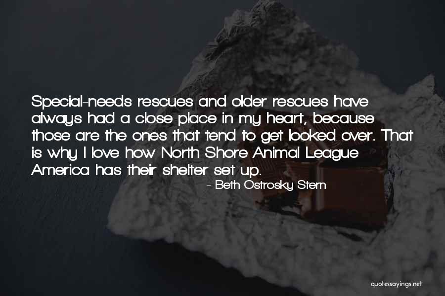 Animal Shelter Quotes By Beth Ostrosky Stern Animal Shelter Quotes By Beth Ostrosky Stern