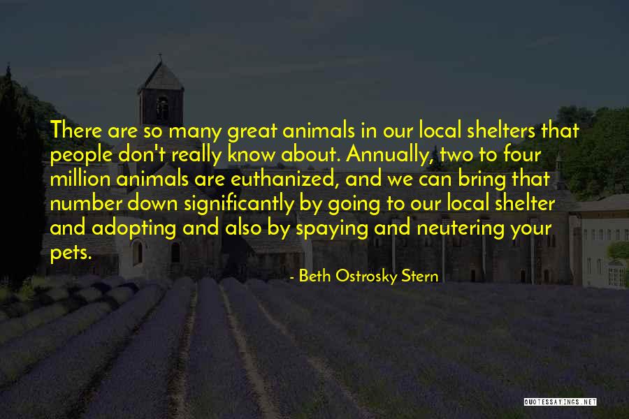 Animal Shelter Quotes By Beth Ostrosky Stern Animal Shelter Quotes By Beth Ostrosky Stern