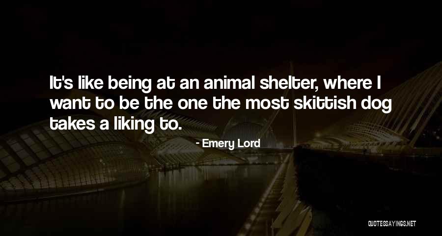 Animal Shelter Quotes By Emery Lord Animal Shelter Quotes By Emery Lord