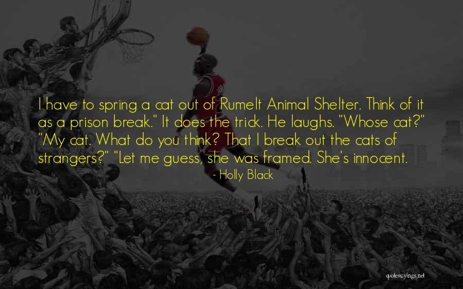 Animal Shelter Quotes By Holly Black Animal Shelter Quotes By Holly Black