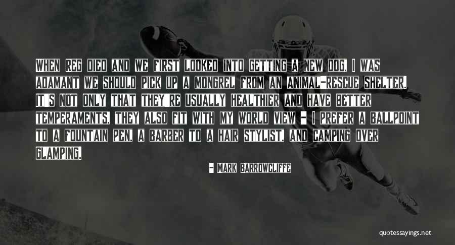 Animal Shelter Quotes By Mark Barrowcliffe Animal Shelter Quotes By Mark Barrowcliffe