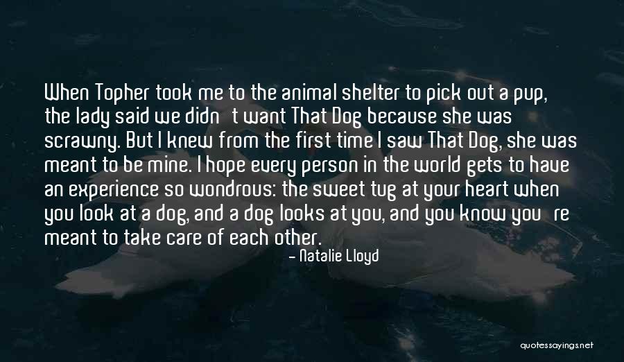 Animal Shelter Quotes By Natalie Lloyd Animal Shelter Quotes By Natalie Lloyd