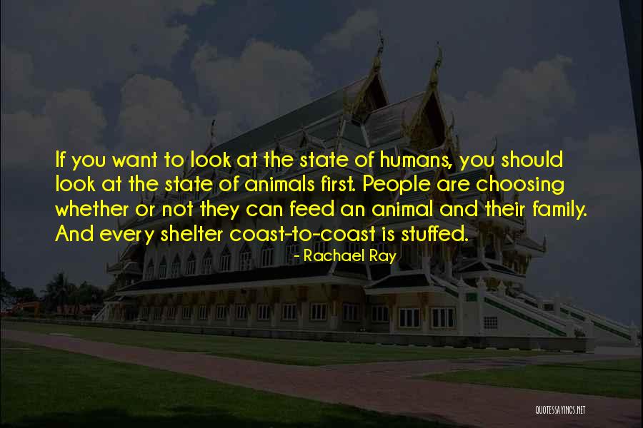 Animal Shelter Quotes By Rachael Ray Animal Shelter Quotes By Rachael Ray