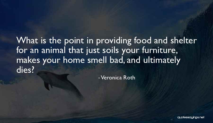 Animal Shelter Quotes By Veronica Roth Animal Shelter Quotes By Veronica Roth