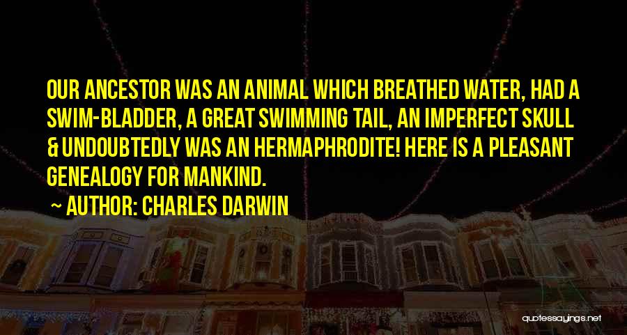 Animal Skulls Quotes By Charles Darwin