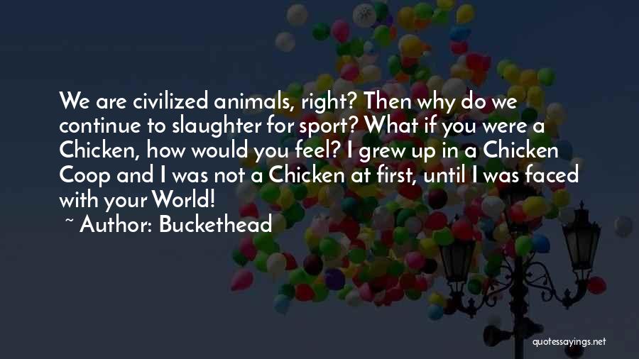 Animal Slaughter Quotes By Buckethead