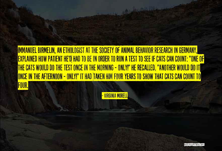 Animal Society Quotes By Virginia Morell Animal Society Quotes By Virginia Morell