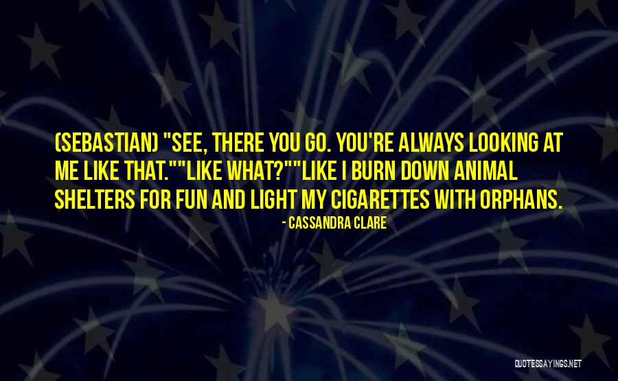 Animal Souls Quotes By Cassandra Clare Animal Souls Quotes By Cassandra Clare