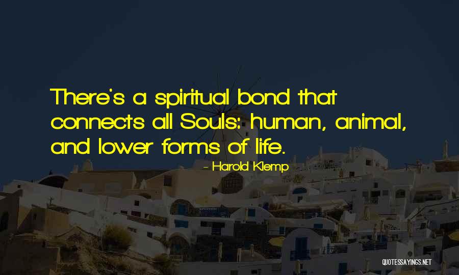 Animal Souls Quotes By Harold Klemp Animal Souls Quotes By Harold Klemp