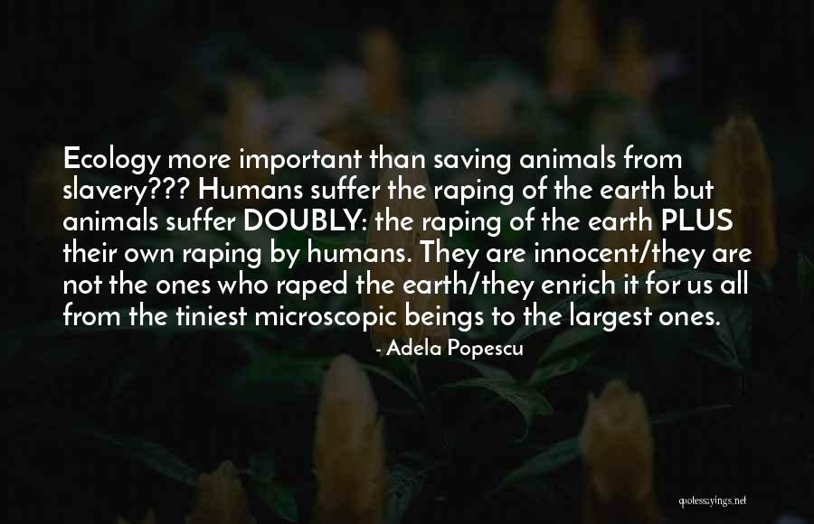 Animal Suffering Quotes By Adela Popescu Animal Suffering Quotes By Adela Popescu
