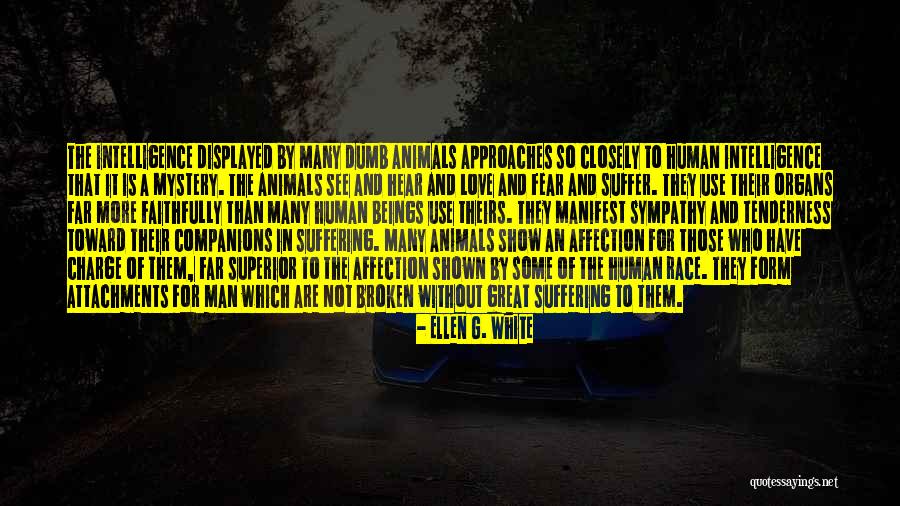 Animal Suffering Quotes By Ellen G. White Animal Suffering Quotes By Ellen G. White
