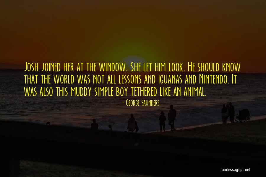 Animal Suffering Quotes By George Saunders Animal Suffering Quotes By George Saunders